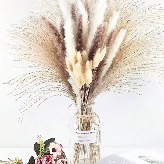 Plumas Capim dos Pampas Decoração (1)