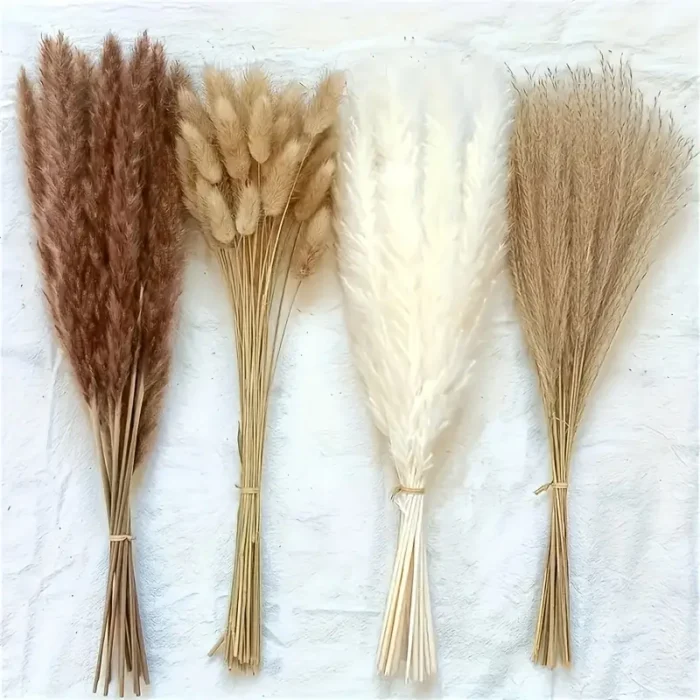 Plumas Capim dos Pampas Decoração (2)