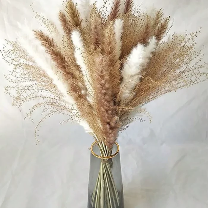 Plumas Capim dos Pampas Decoração - Image 3